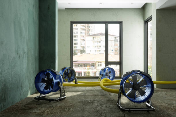Best 24/7 water damage repair  in Danville, PA
